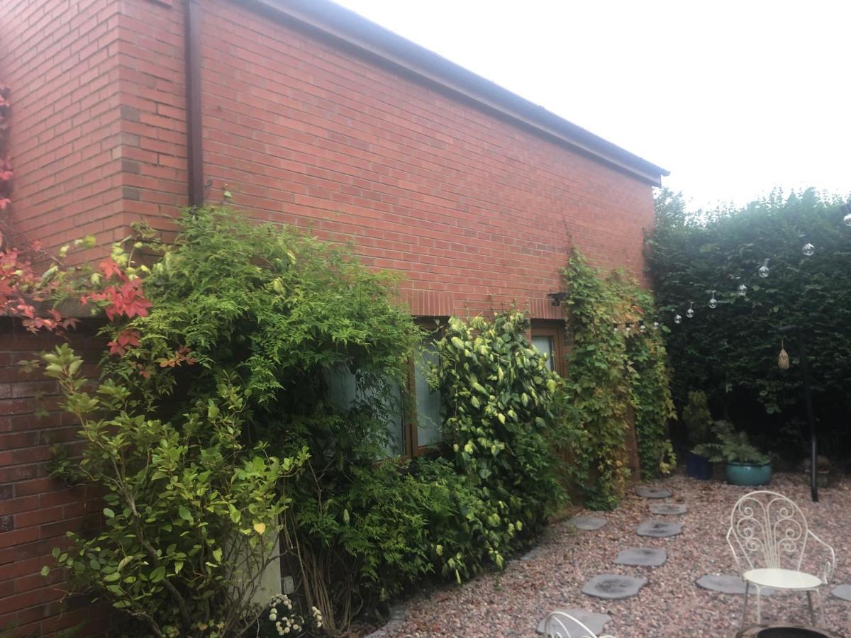 Self Contained Coach House In Leafy South Belfast The Location Is Not Accurate Appartement Buitenkant foto